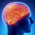 ¿Es la adicción una enfermedad? ¿afecta al cerebro?